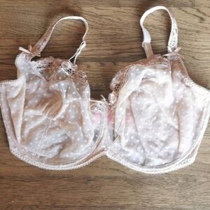 CURVY Kate Bra Sheer Nude Polka Dot Plus 40K